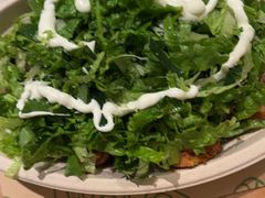 -油梨树 AVOCADO TREE(亮马桥店)