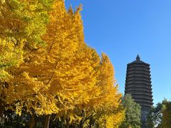 -玲珑塔公园