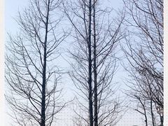 -滆湖低碳生态公园