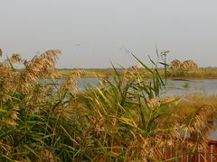 景点-官港森林公园