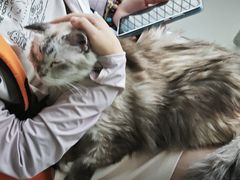 -怪兽屋·羊驼·猫咖·狗咖(俊华广场店)