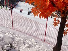 -蓟洲国际滑雪场