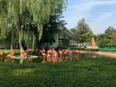 -辛玛王国游乐园