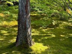 -三千院