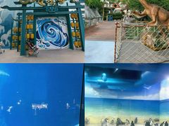 -海合安武汉极地海洋公园