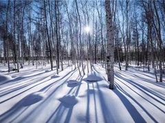 -北极村旅游风景区