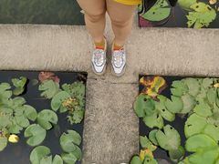 -华南国家植物园-售票处