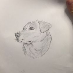 -JOKER TATTOO STUDIO乔克纹身