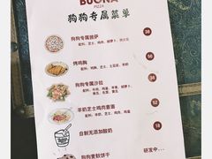 -百好乐宠物友好餐厅(朝外大街店)