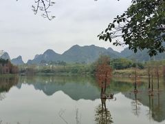 -南宁花花大世界景区