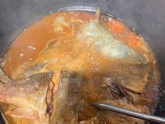 -肥鱼屯活鱼锅(惠工街店)