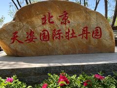 -太阳宫公园