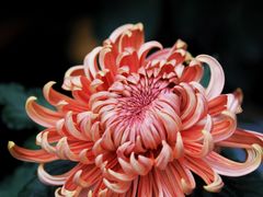 -共青国家森林公园-售票处