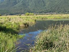 -腾冲北海湿地