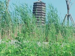 -西海子公园