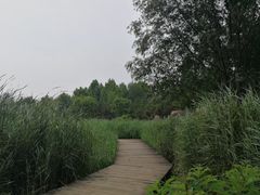-前关湿地公园