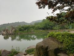 -白马涧龙池景区