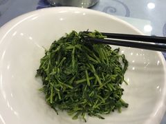 养生枸杞苗-老毛手抓·盐池滩羊非遗手抓(宁夏总店)