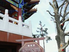 -塔云山