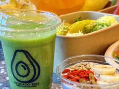 -油梨树AVOCADO TREE(嘉里中心店)