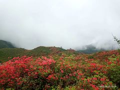 -大围山国家森林公园