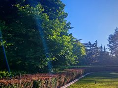 -清华大学玉泉医院