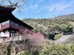 -韬光茶庵