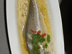 青椒酱蒸大黄鱼-箸福·夜上海(月牙湖公园店)