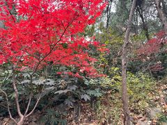 -云龙山