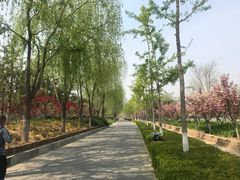 -大兴滨河森林公园