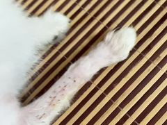 -美联众合动物医院·24h京西诊疗中心