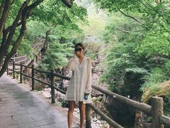 -牛背梁国家森林公园