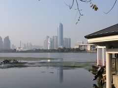 -月湖风景区