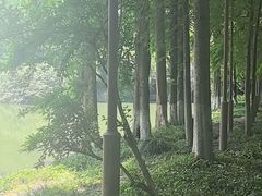 -宋宴(虎跑店)