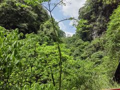 -碧峰峡风景区