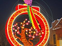 -南宫五洲植物乐园