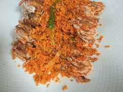 -连鹭海鲜·海肠捞饭·海胆饭(星海店)