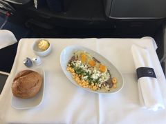 -新加坡航空公司(ION)