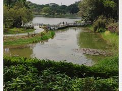 -东莞植物园
