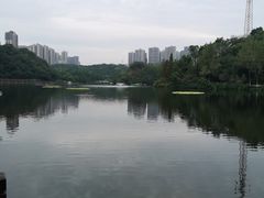 -重庆彩云湖湿地公园