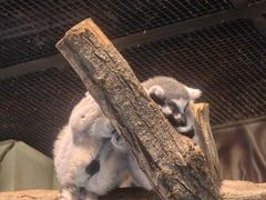 -海合安武汉极地海洋公园