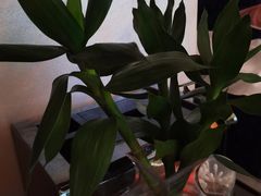 -重庆富侨足浴(抚顺店)
