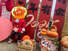 -中国天府农业博览园