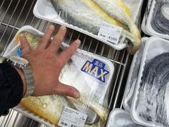 -盒马X会员店(上海森兰商都店)