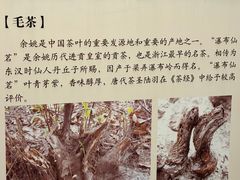 -余姚博物馆