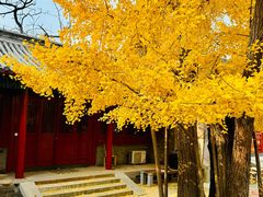 -承恩寺