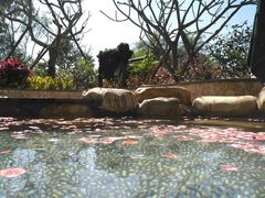 -厦门日月谷温泉渡假村