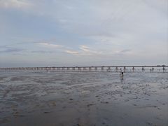 -南汇新城海滩