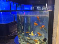 -王家渡火锅店(亦庄店)