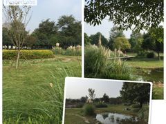 -成都中医药大学(温江校区)